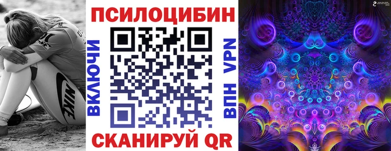 сколько стоит  Шагонар  Псилоцибиновые грибы Magic Shrooms 