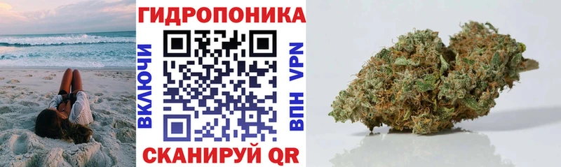 Бошки Шишки AK-47  Шагонар 